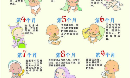 营养卵巢的食物-营养卵巢的方法网- 营养卵巢的食物和水果知识,分享营养卵巢的方法有几种