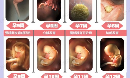 营养卵巢的方法网- 营养卵巢的食物和水果知识,分享营养卵巢的方法有几种